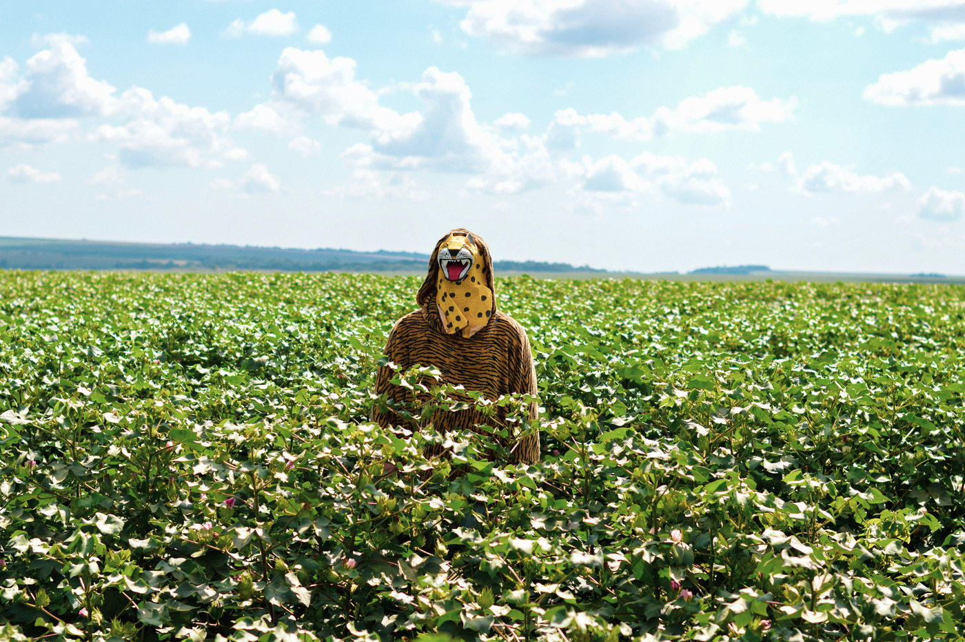 A masked Denilson Baniwa stands in a corn field.
