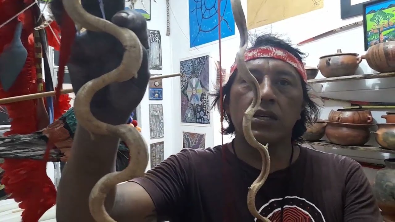 Brazilian indigenous artist Jaider Esbell films himself talking about contemporary indigenous art.