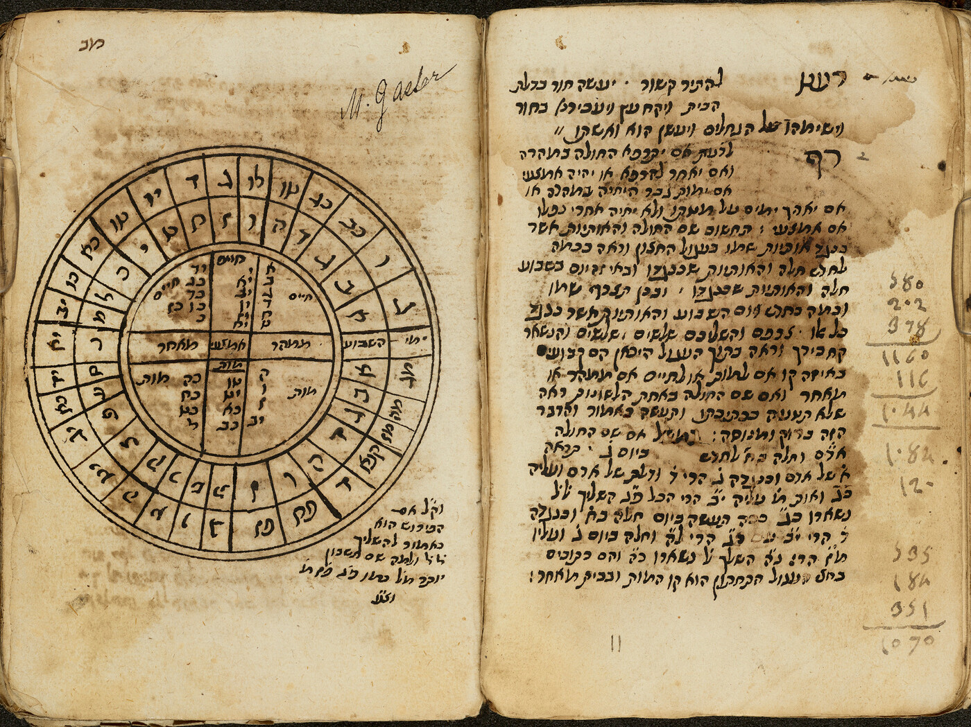 Folios 41b - 42a