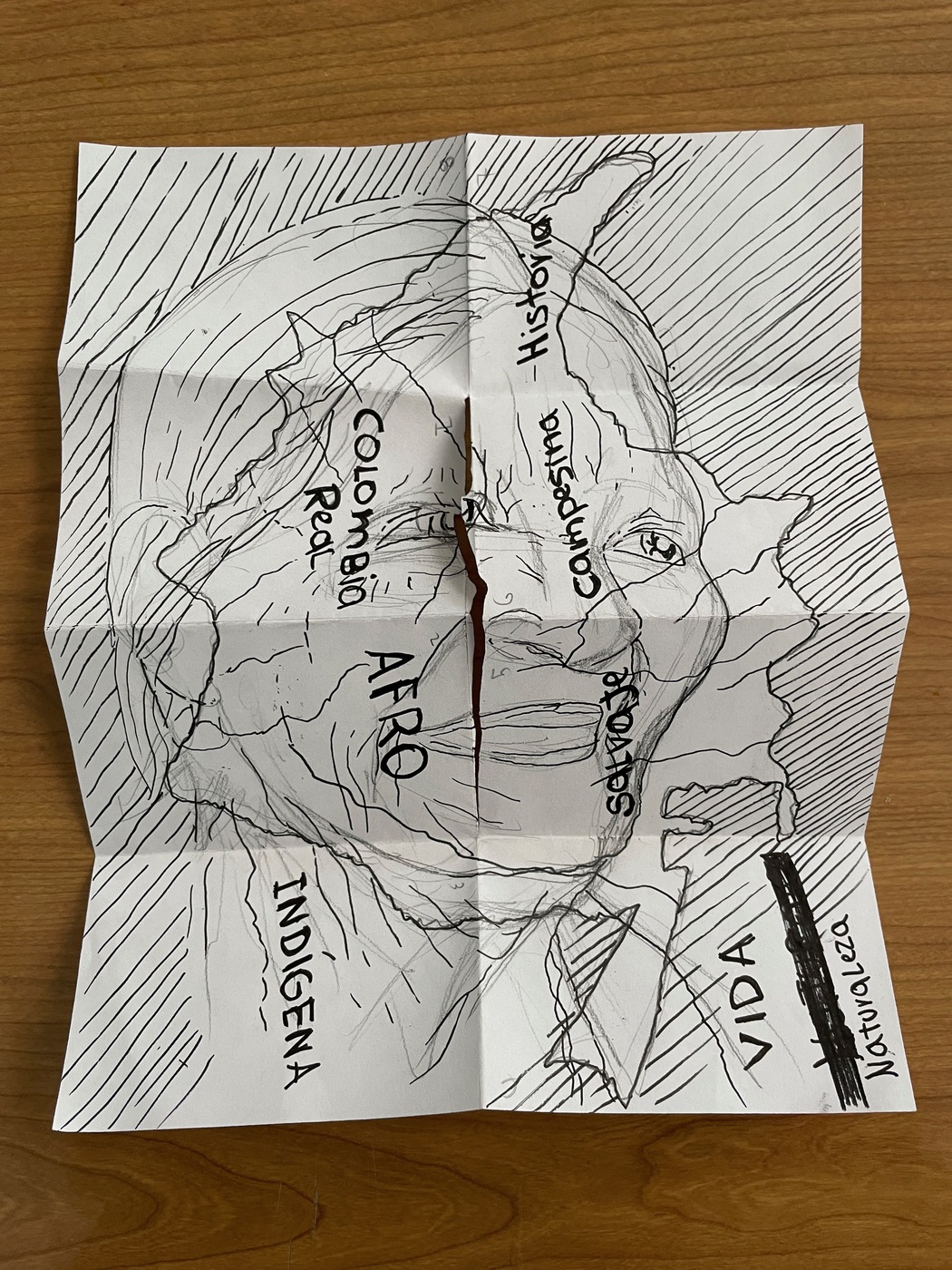 An unfolded zine with the sketched face of a woman over a drawn outline map of Colombia. Various key words are placed over the drawing